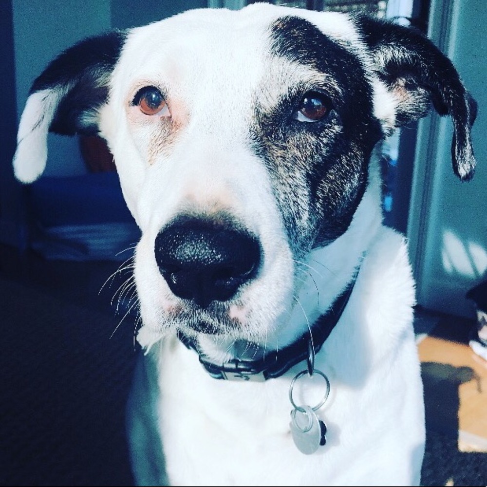 Meet your Posher, Emma
